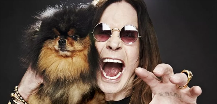 Dia Do Rock Veja Os 25 Nomes De Roqueiros Mais Populares Entre Os Pets 